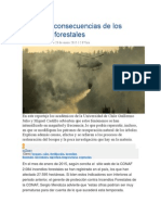 Causas y consecuencias de los incendios forestales en Chile