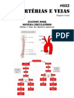 032 Anatomy Book Artérias e Veias Dos MMSS PDF