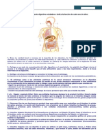 Actividades Resueltas Biología 3º ESO