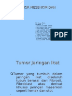 Tumor-tumor Mesenkim Dan Kulit2