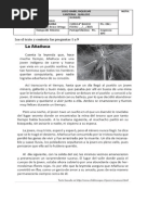 Evaluacion Pac Periodo 3 4° Basico 2015 Imprimir