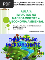 Impactos No Macroambiente e a Economia Ambiental