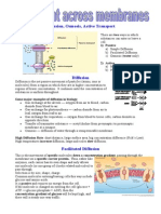 Diffusion Revision