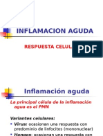 Ficha 06 UNIDAD 2 PATOLOGIA CELULAR V Inflamación Aguda. Respuesta Celular y Evolucion