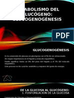 Metabolismo Del Glucógeno