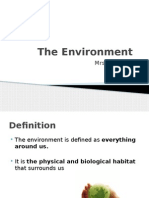 The Environment-6form