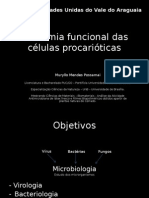 Anatomia Funcional Das Células Procarióticas