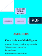 ANELIDEOS - MOLUSCOS - EQUINODERMAS bom elite.ppt