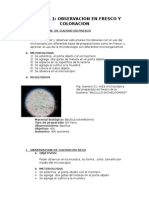 Microbiología Informe