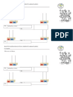 DESCOMPOSICON