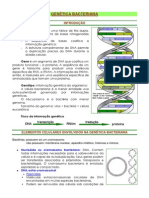 genetica-bacteriana3