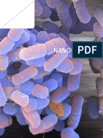 NanoSilver Health Risks