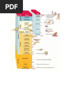 Períodos geológicos.doc