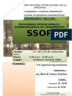Poster Del Curso de Poes 20013 II