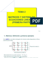 Tema Matrices y Sistema de Ecuaciones Lineales. Pprimera Parte.