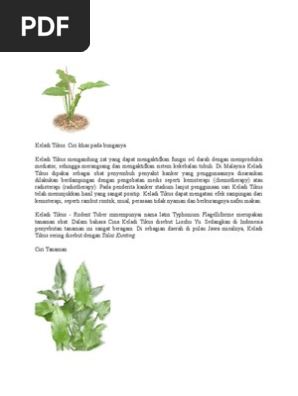 Yulduzli urushlar porno filmi Kuch uygonadi