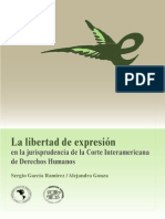 Libertad Expresion3