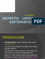 Lupus Nepritis.