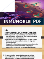 Inmunoelectroforesis Exposicion