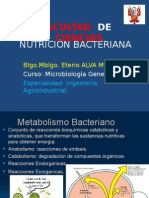 Cre Cimiento Bacteria No