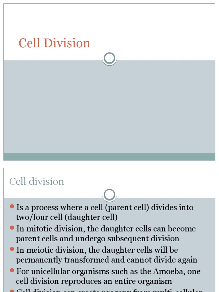 Understanding Cell Division Processes | PDF | Meiosis | Mitosis