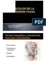 Musculatura Facial