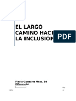 EL Largo Camino Hacia La Inclusión