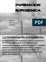 Contaminación Antropogénica