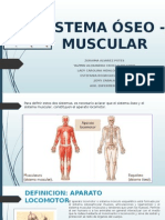 Presentacion Aparato Locomotor (Sistema Oseo y Muscular9