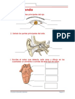 Ficha de Ciencia