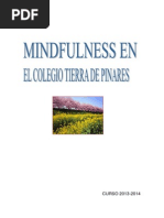 Programa Mindfulness