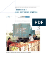 Omereque abastece a 3 departamentos con tomate orgánico