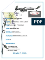 Monografia de Anatomia - Ultimos Avances en El Tratamiento de La Presión Arterial