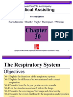 Respiratory System