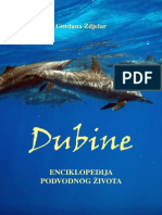 Dubine - Enciklopedija Podvodnog Zivota
