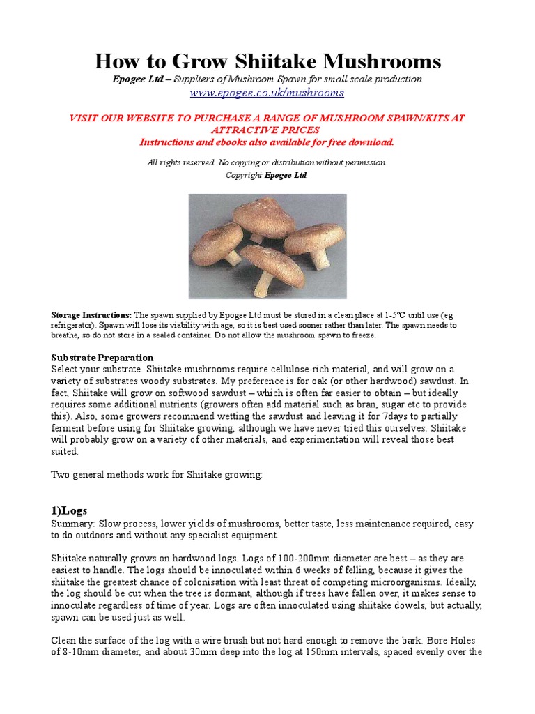 Shiitake Mushroom Growing Instructions | PDF | Mushroom | Sterilization ...
