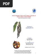 Download Ginger Final Report FIGTF 02 by Nihmathullah Kalanther Lebbe SN283210302 doc pdf