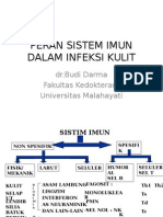 Kuliah Imun Skin Integumen