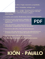 KION PALILLO.pdf