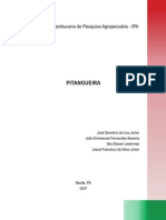 Livro+Pitangueira+Final_000h70en20j02wx7ha0bjxel5pl1bej2.pdf