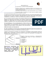 GUÍAEVOLUCIÓN HUMANA3°