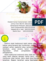 Pengembangan Obat Herbal Sebagai AntiMalaria