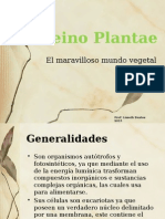 Reino Plantae