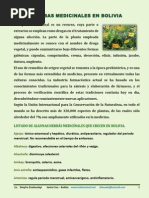 Hierbas Medicinales Esp