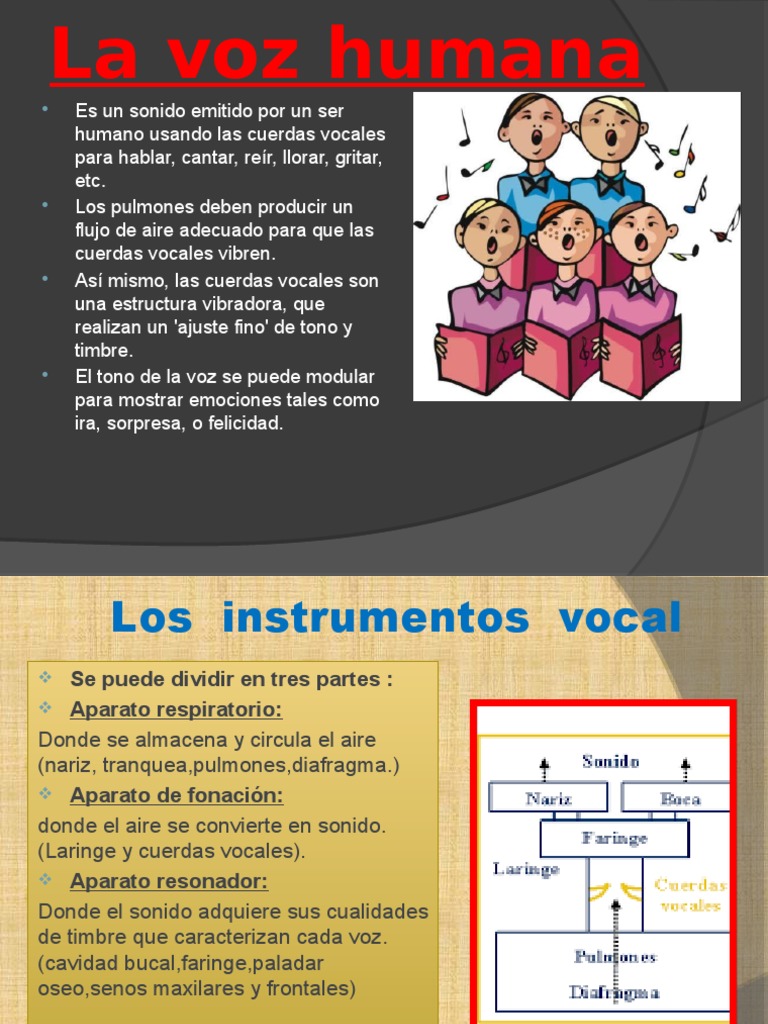 La voz humana: Un instrumento musical único | PDF | Coro | Voz humana