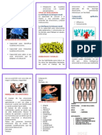 Inteligencia Emocional - Trictico