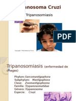 Tripanosomiasis Final