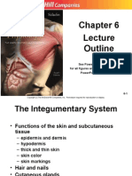 Integumentary System