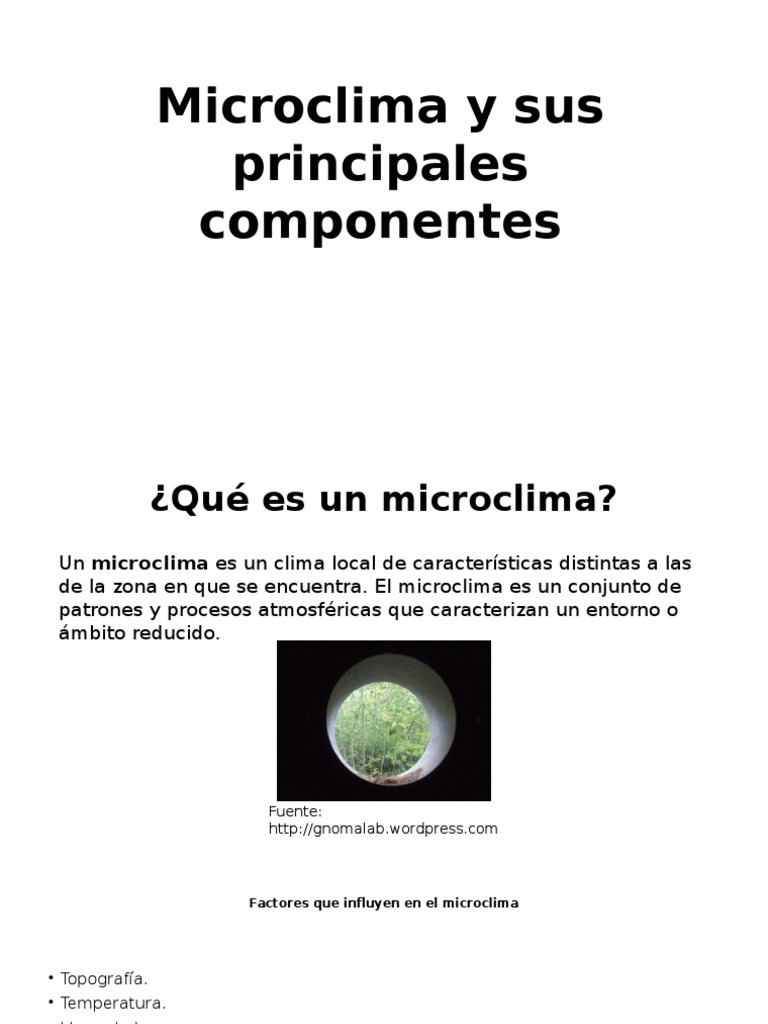 Microclima y Sus Principales Componentes | PDF