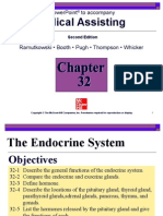 Endocrine System